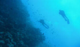 diving