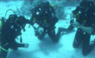 group