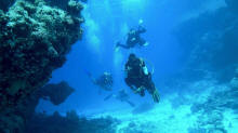 divers