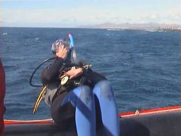 rib2