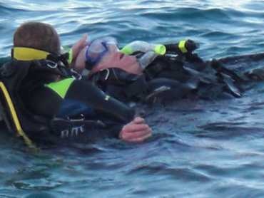 diver
