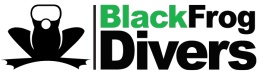 blackfrog