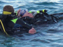 rescue