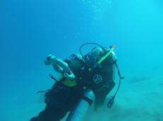 rescue
